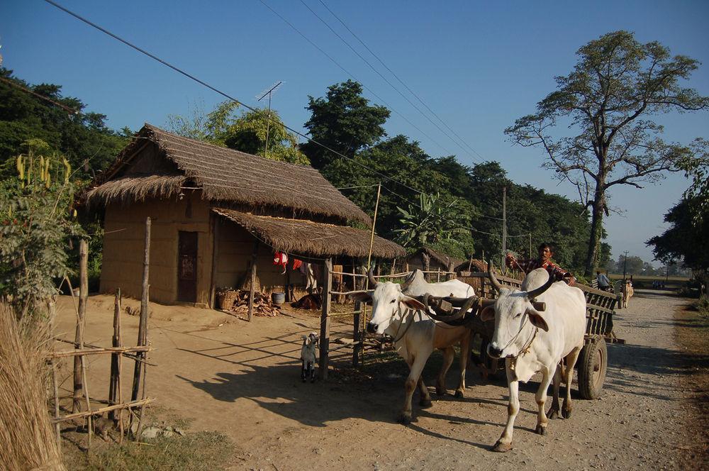 Machan Country Villa Kumarwarti Exterior foto